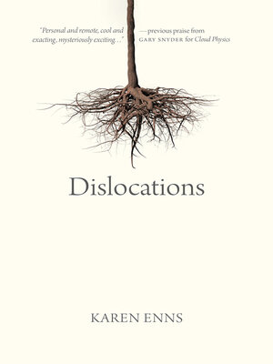 Dislocations - ebook
